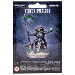 Necrons Overlord